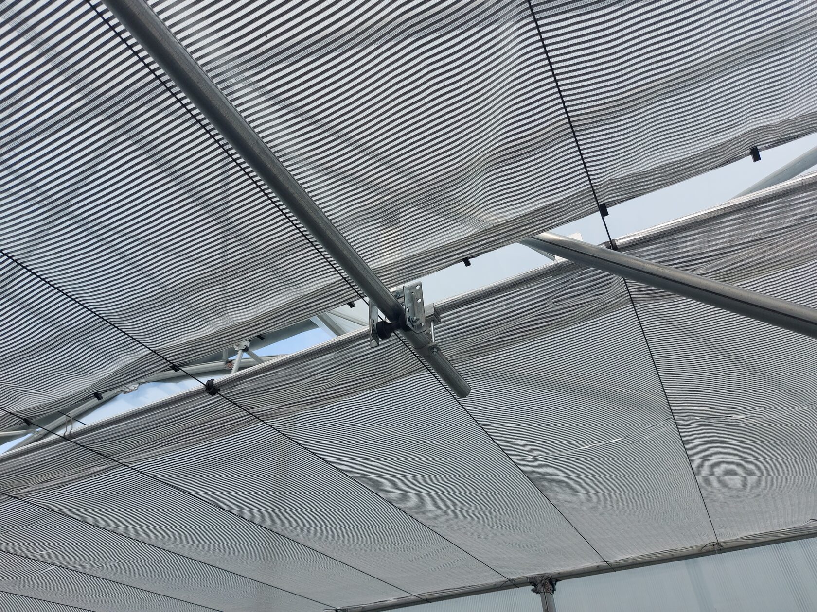 выращивание растений на производстве