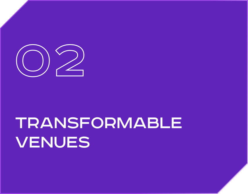 Basic models of radio controlled airships ready for sale