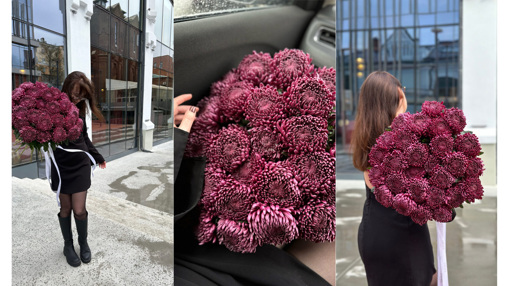 хризантема крупная одноголовая