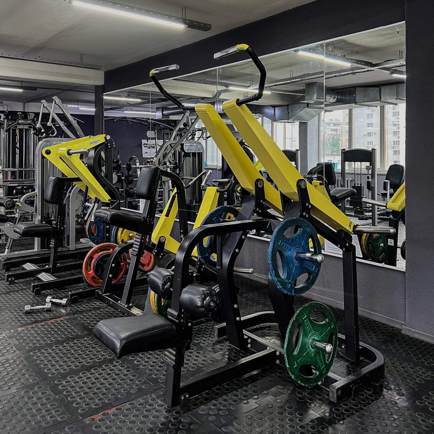 Алекс фитнес энгельс. Фитнес клуб алекс в энгельсе. Alex fitness санкт-петербург. Спортклуб озерки. Алекс фитнес энгельс здание.