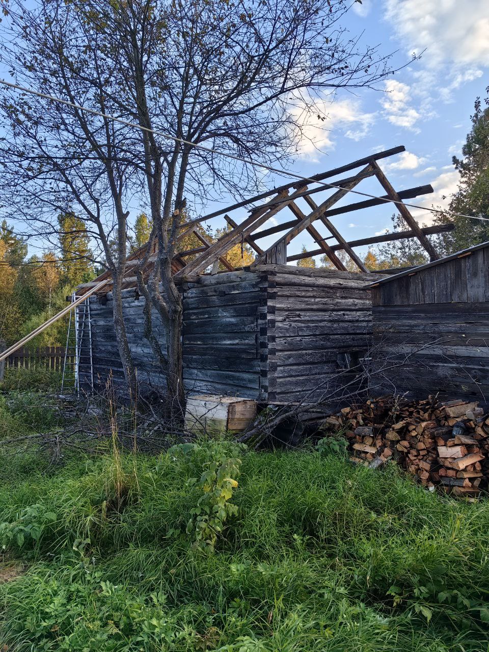 Проект «Дедушкин дом»