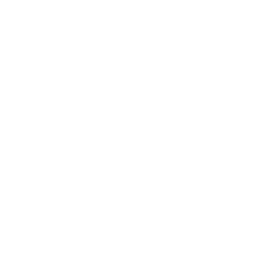 FF CONSULTING