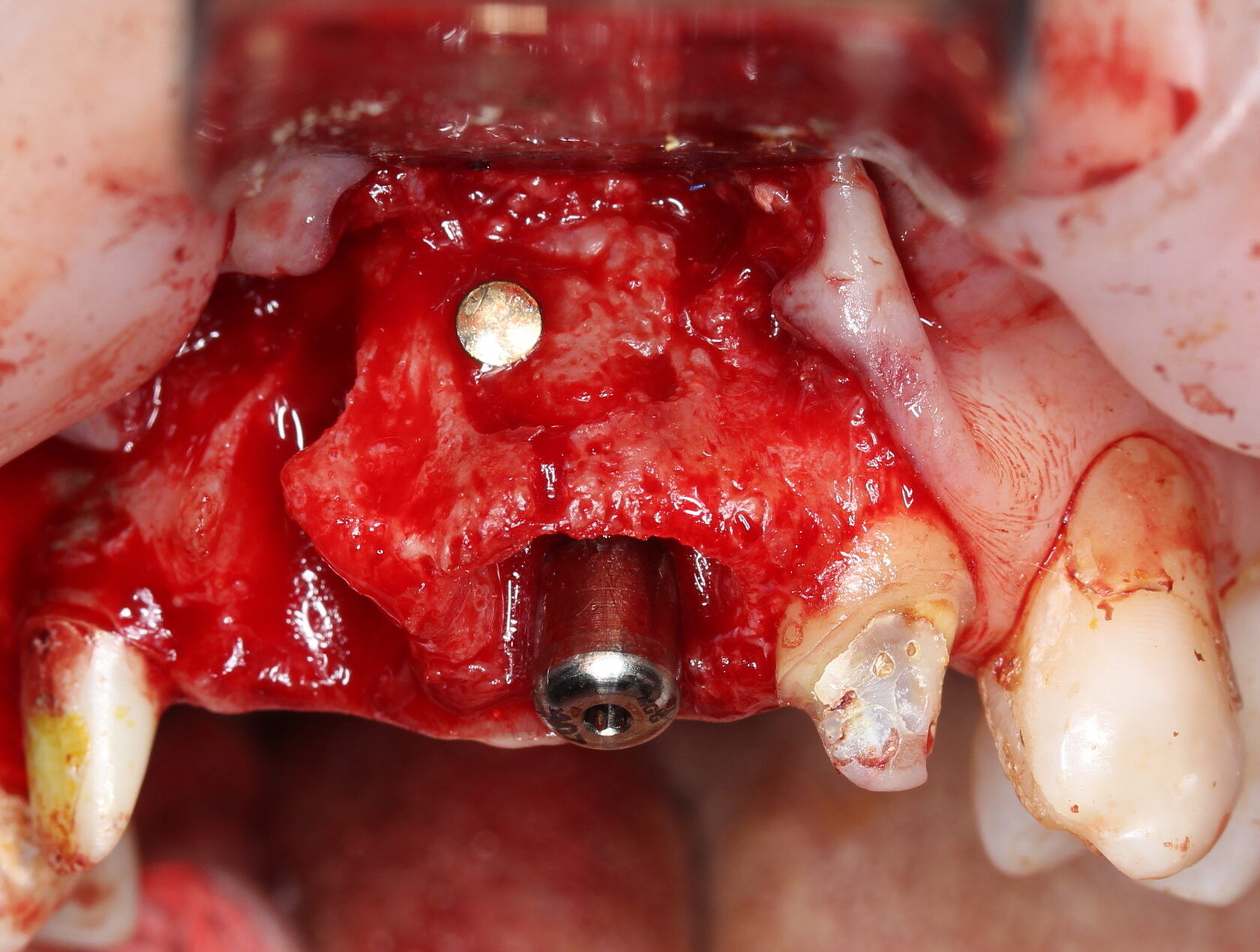 Фото с конференции 