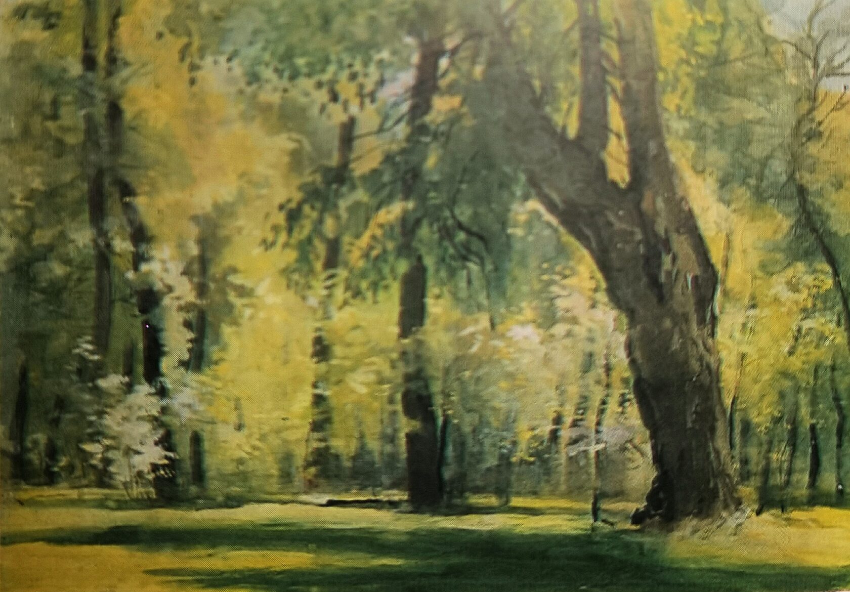 В парке Тимирязевской Академии, 1962 г.