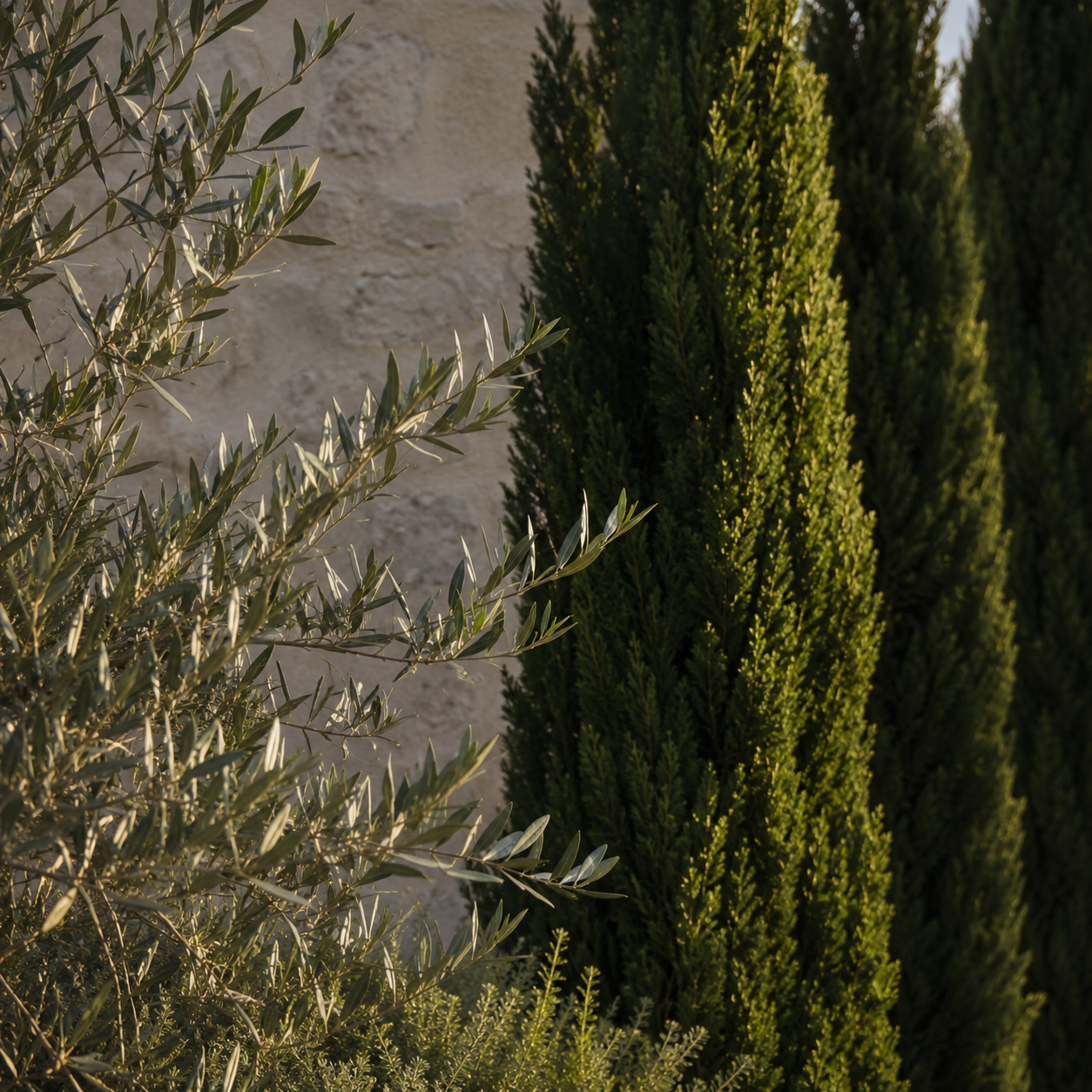Stone texture detail