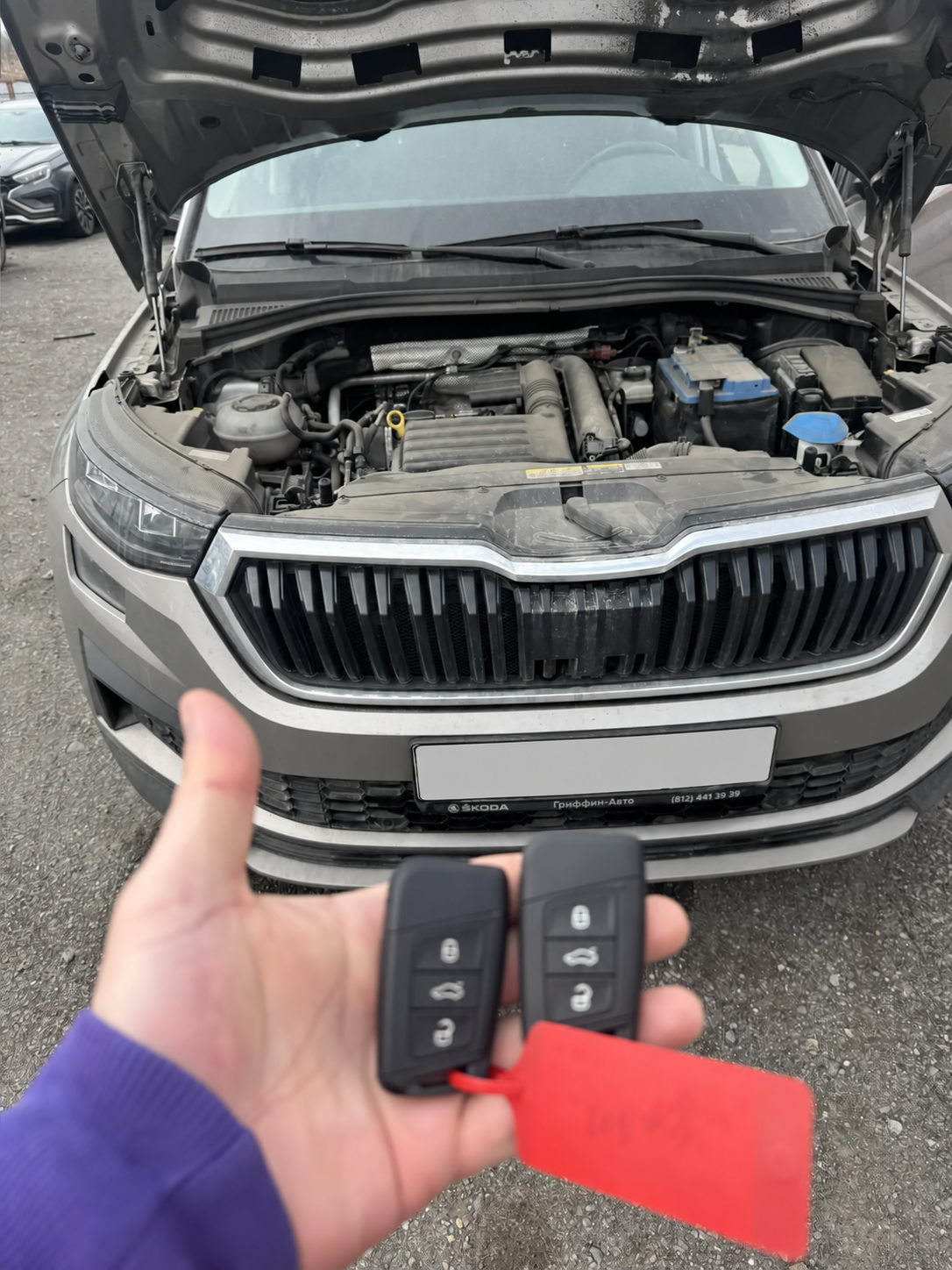 Два ключа Skoda рядом с автомобилем