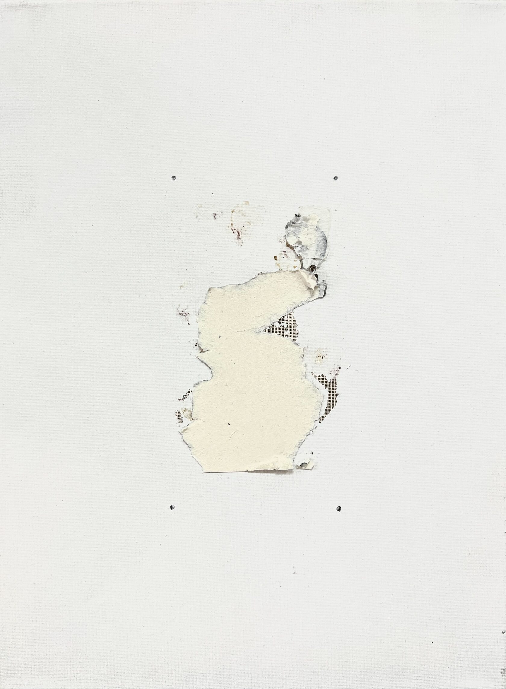 Тараканья Живопись, холст, найденный объект, 40x30 см, 2024