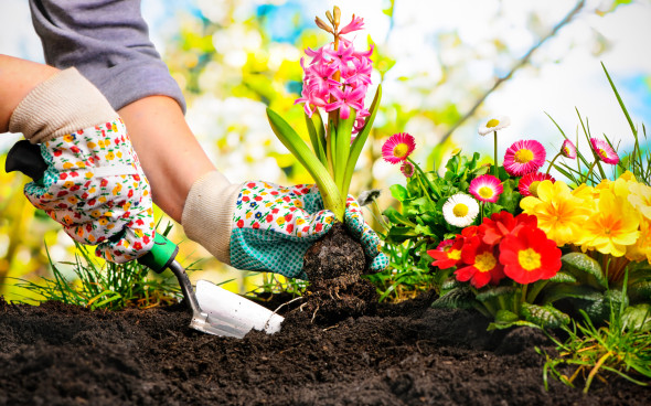 Как быстро огородить клумбы? Воспользуйтесь гибким садовым бордюром ― centerforstrategy.ru