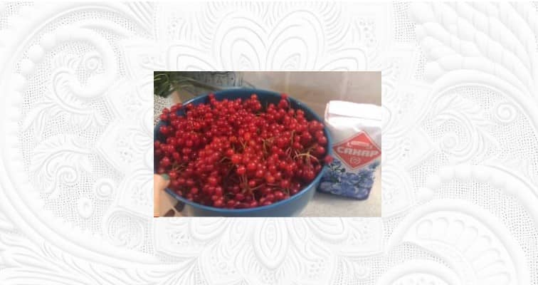 Приготовление калины с сахаром без варки: шаг 2