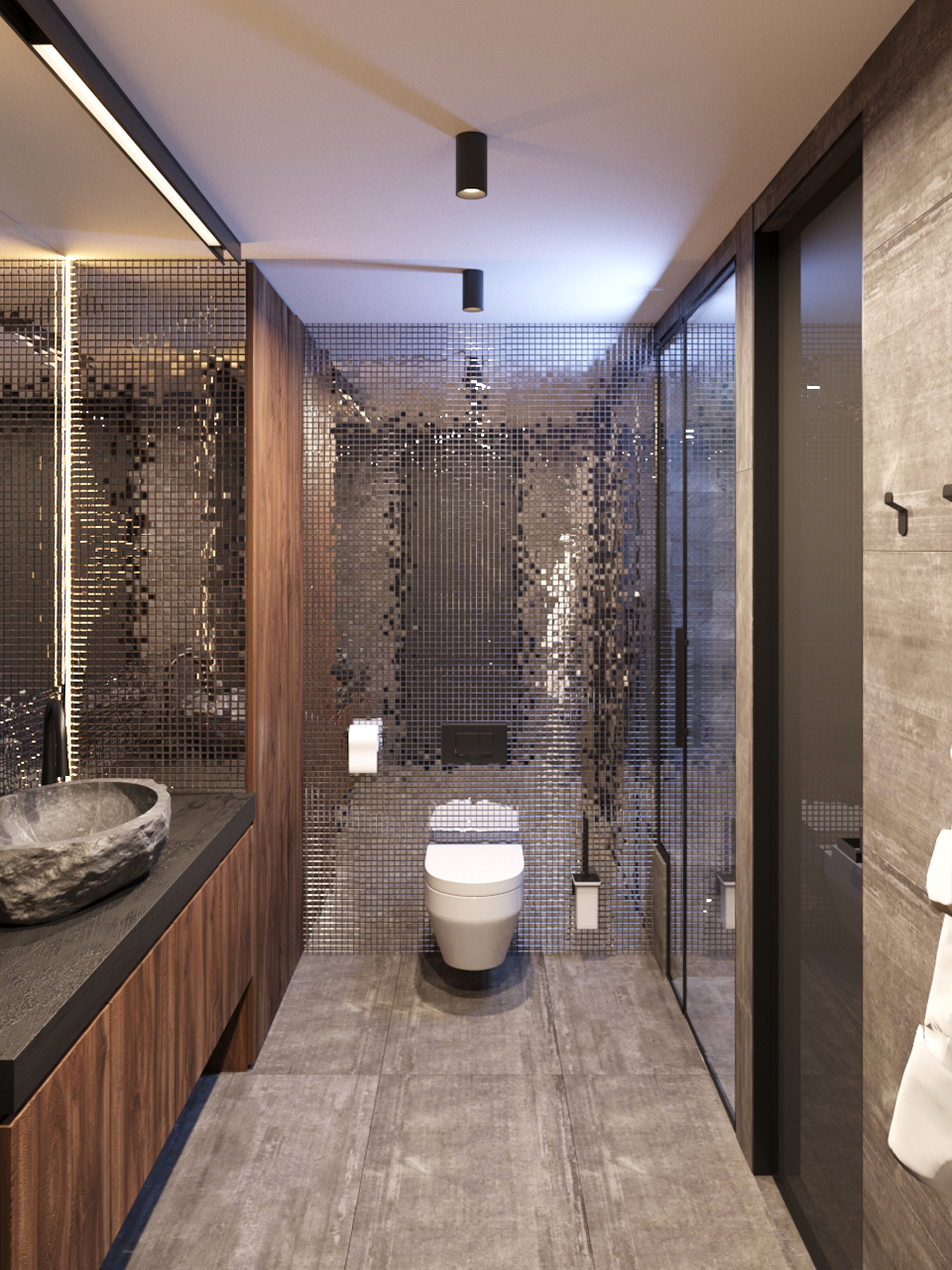 современный дизайн ванной комнаты и туалета в доме