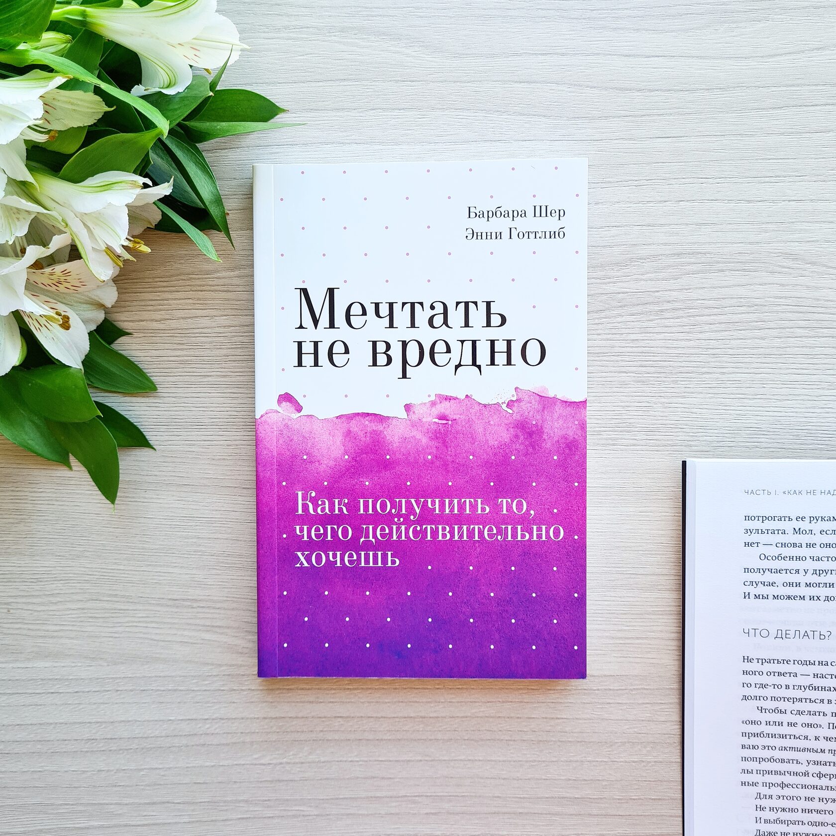 Шер читать. Книга мечтать не вредно Барбара Шер. Барбара Шер о чем мечтать. Мечтать не вредно книга отзывы. Мечтать не вредно книга купить.