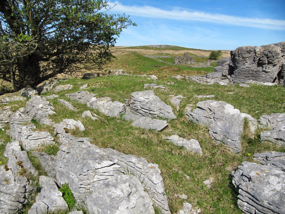 Stones used in filming at Cnewr