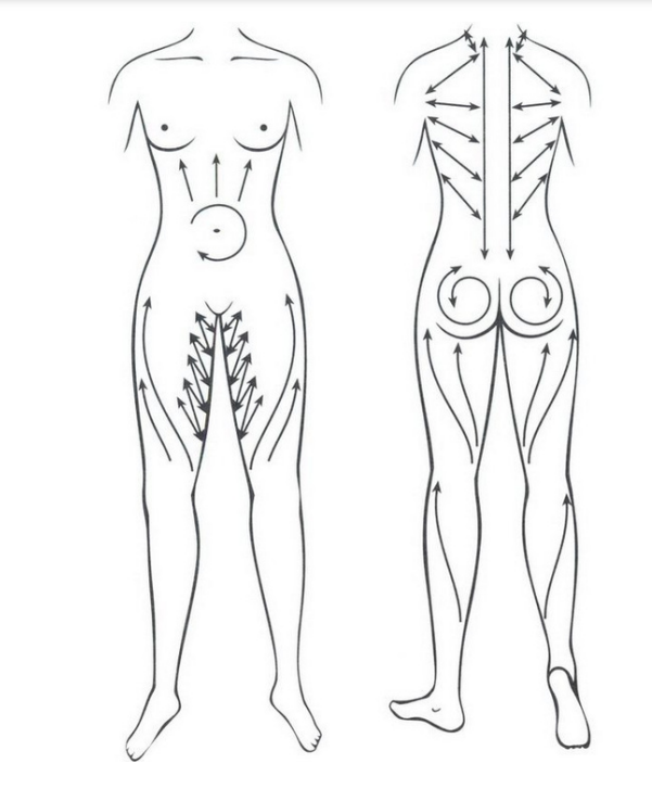 Линии массажа. Лимфодренажный массаж тела схема. Схема баночного антицеллюлитного массажа. Баночный антицеллюлитный массаж схема. Баночный массаж антицеллюлитный схема движения.