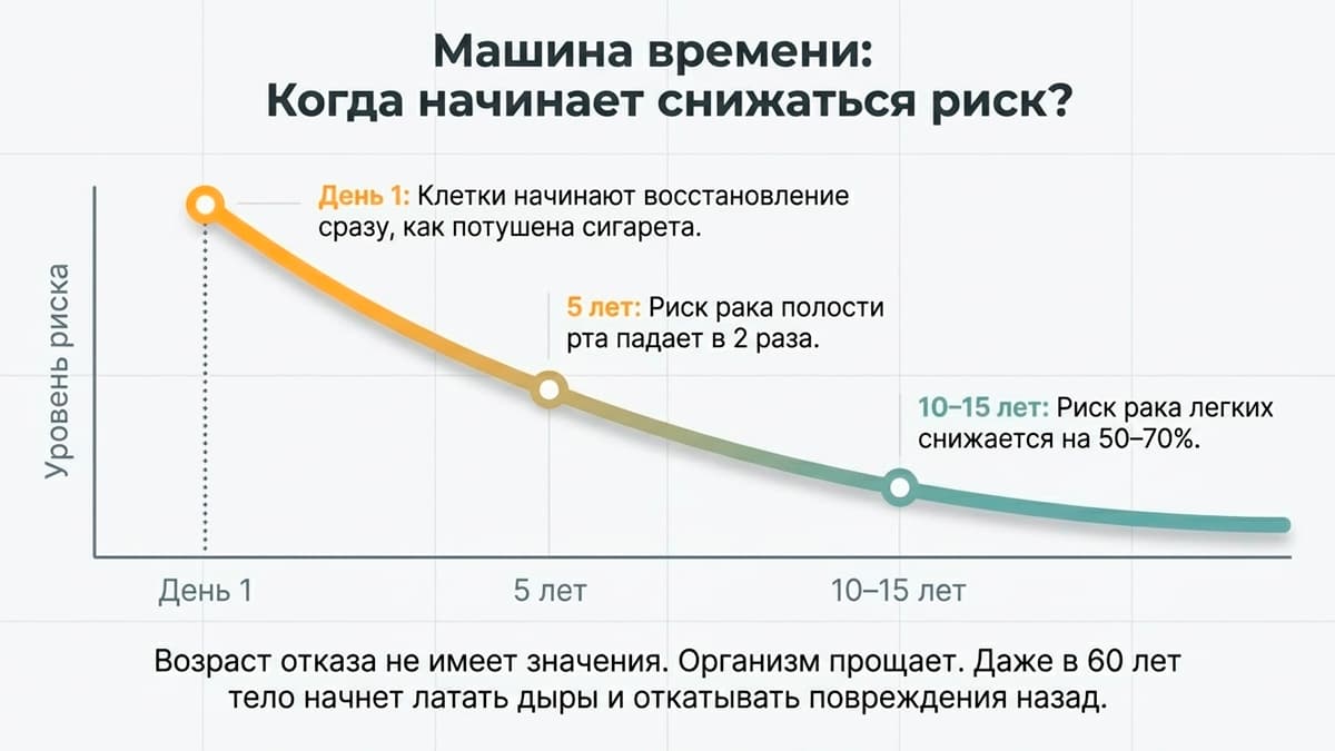 Отказ от курения - снижение риска график