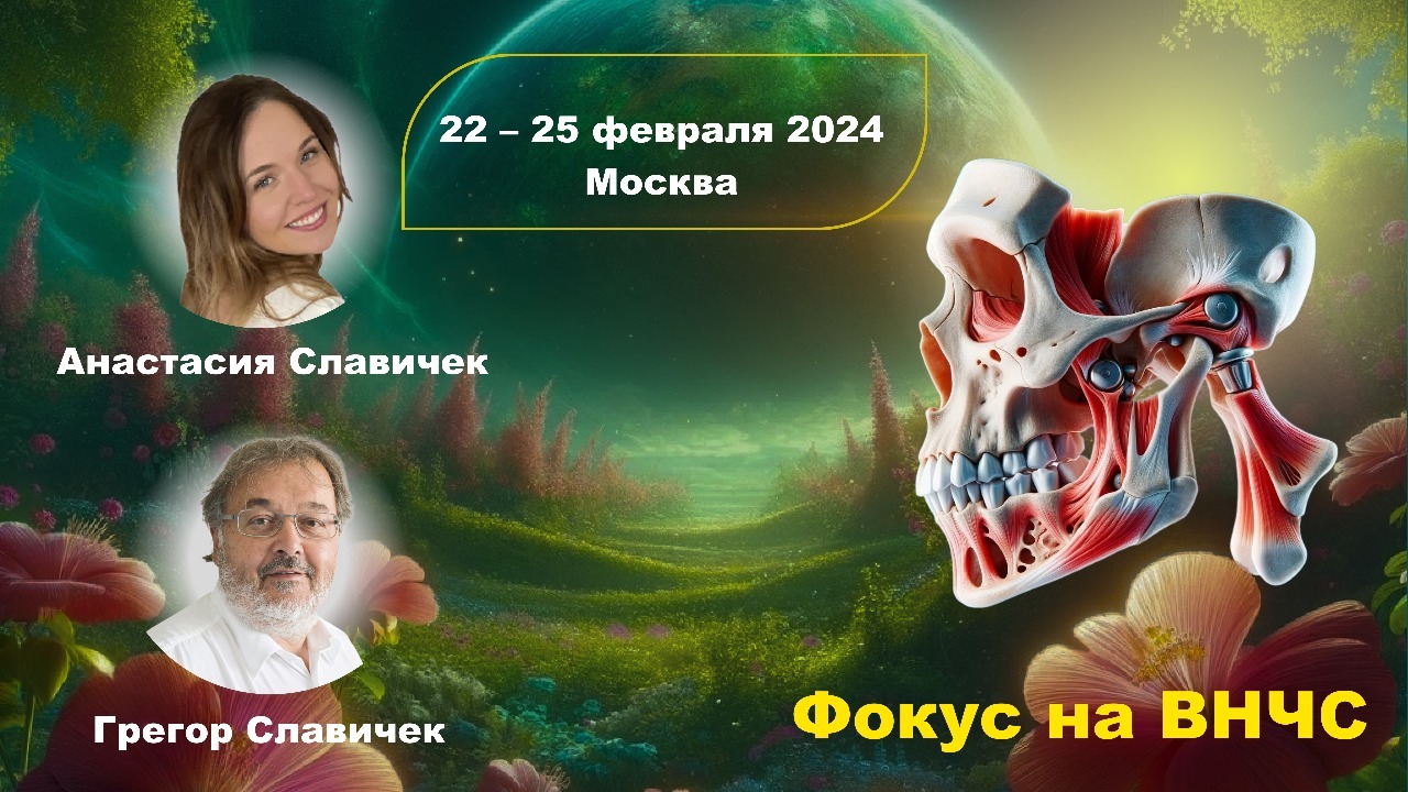 Фокус на ВНЧС