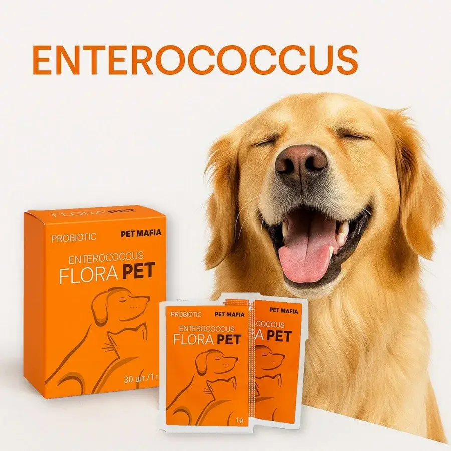 Собака и пробиотик FLORA PET