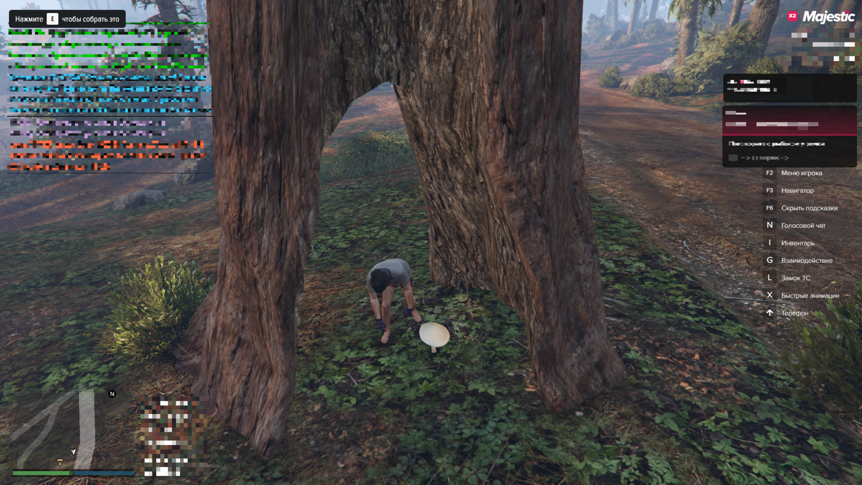 Грибник Majestic-rp