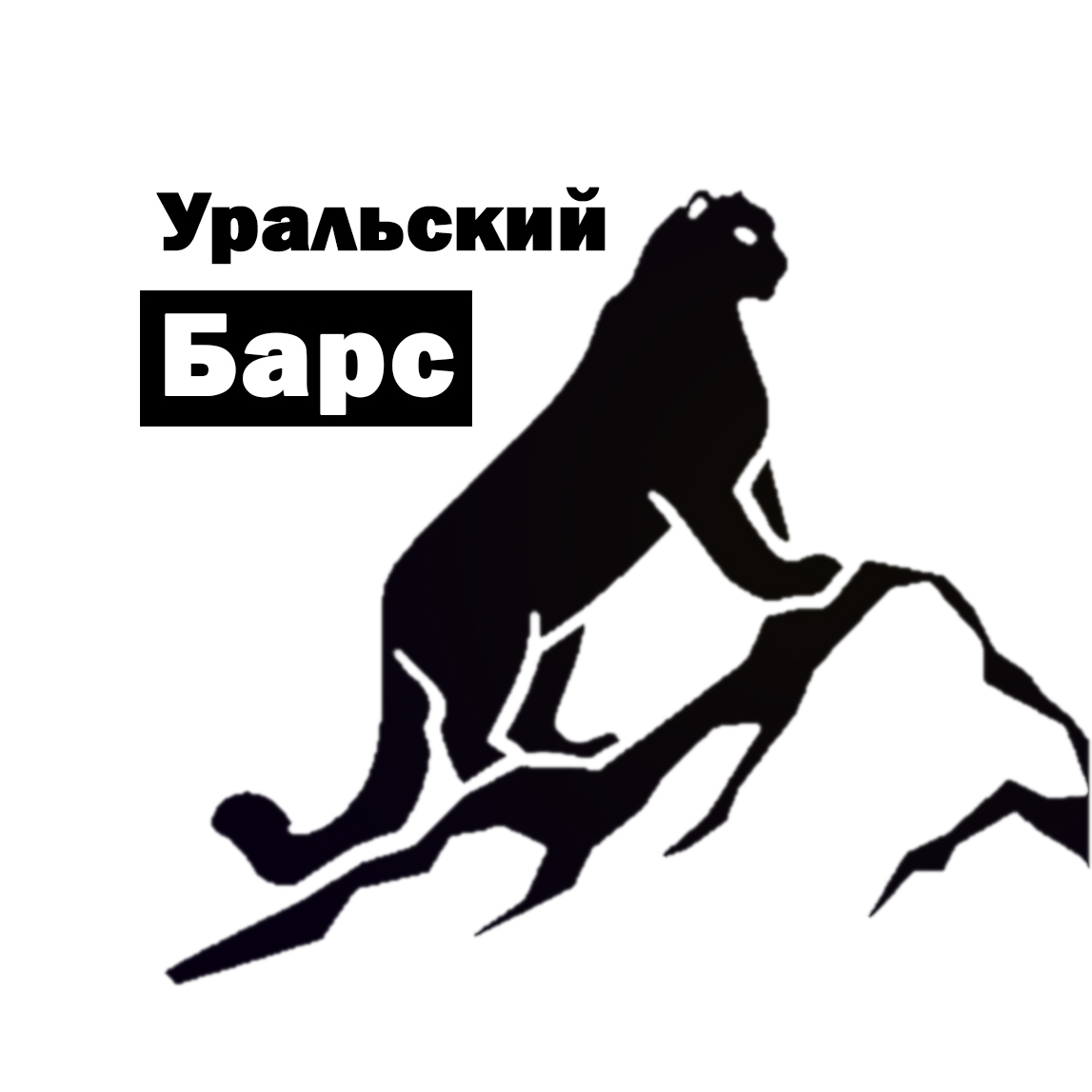 Барс проект ооо