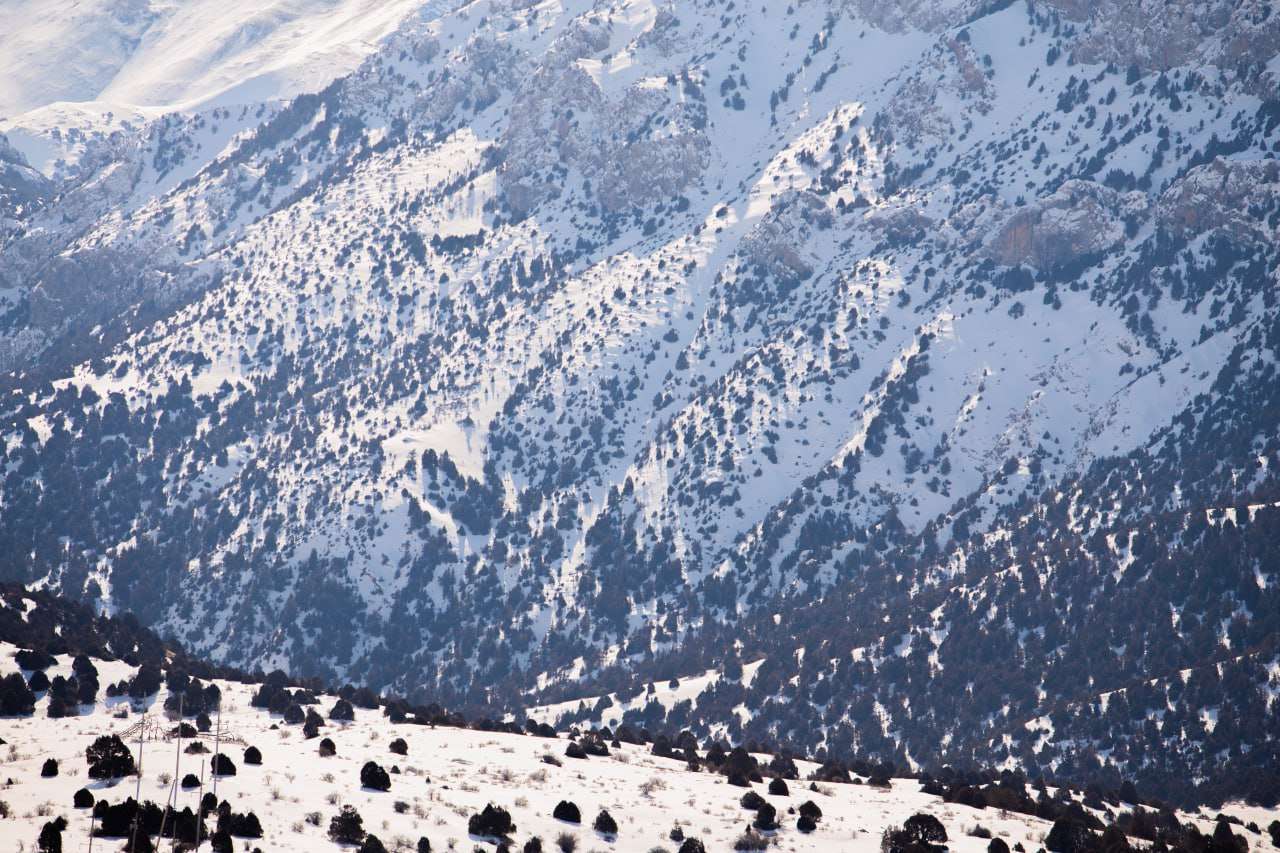 Winter in Uzbekistan