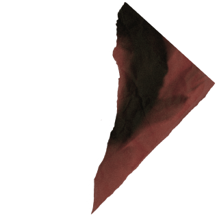 Пленочная Академия