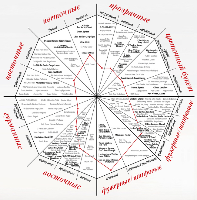 Карта ароматов женской парфюмерии