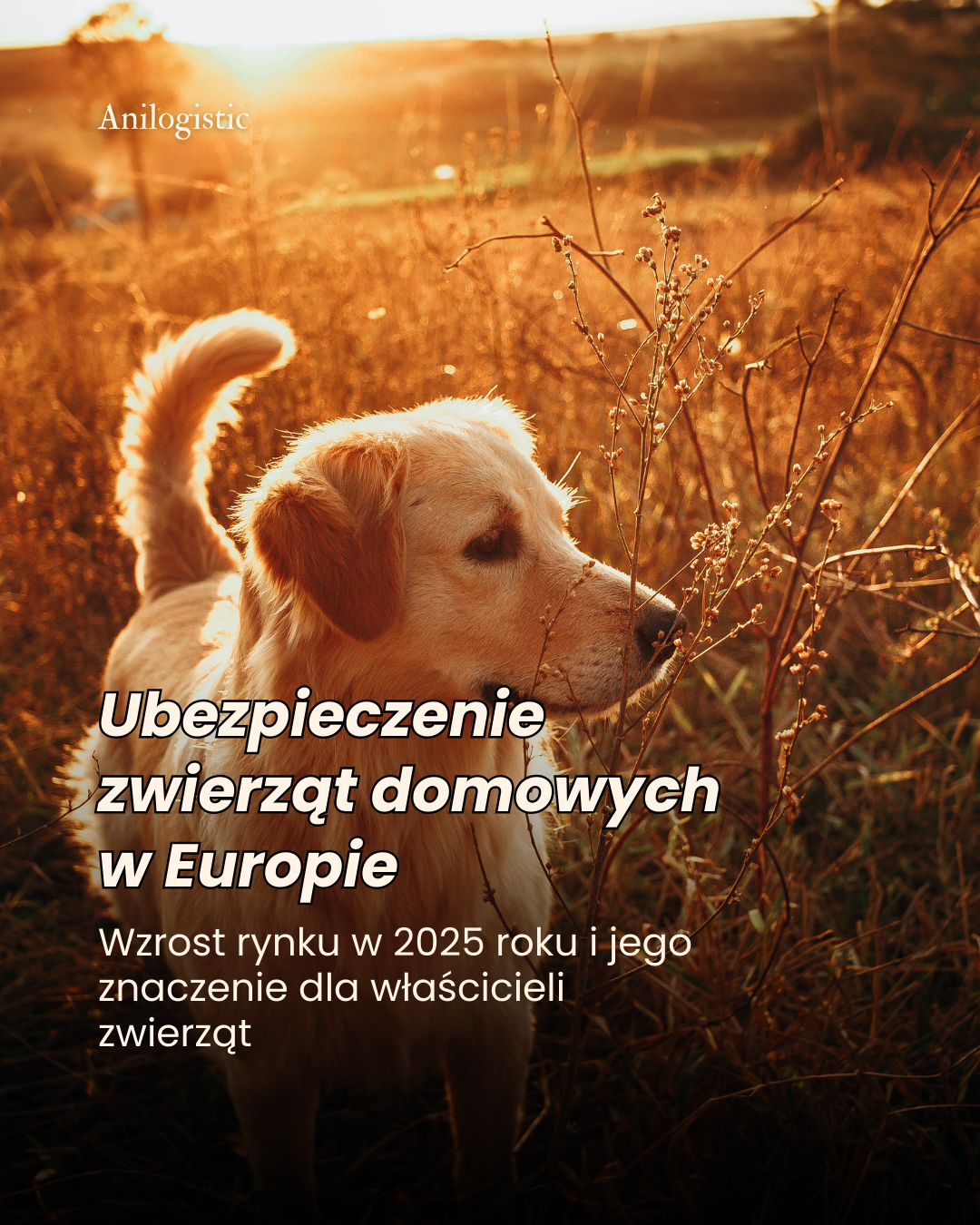 Ubezpieczenia zwierząt w Europie — wzrost rynku ubezpieczeń zwierząt domowych w 2025 roku