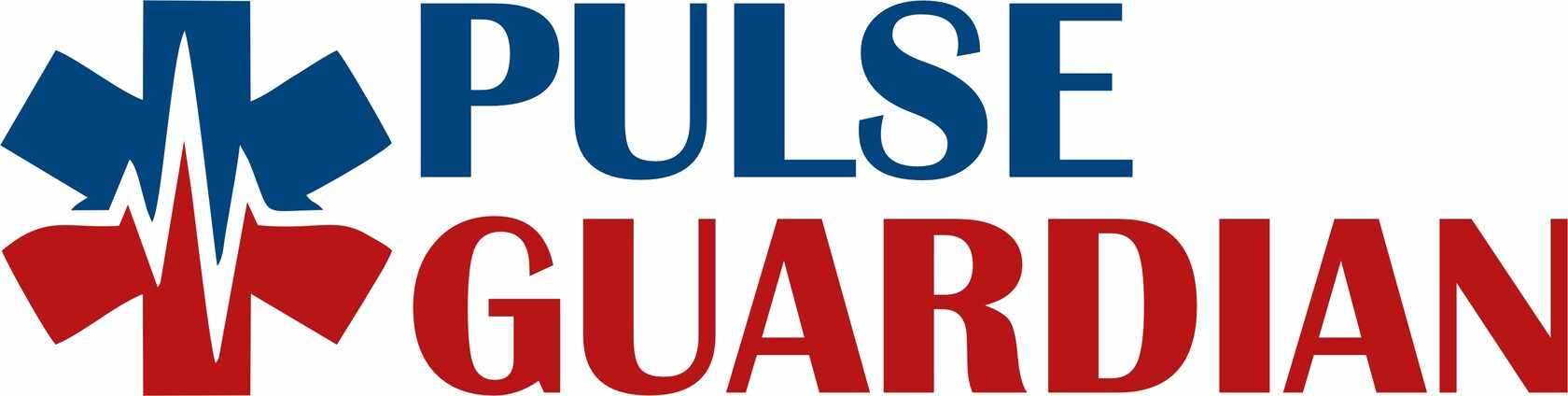  PULSE GUARDIAN 