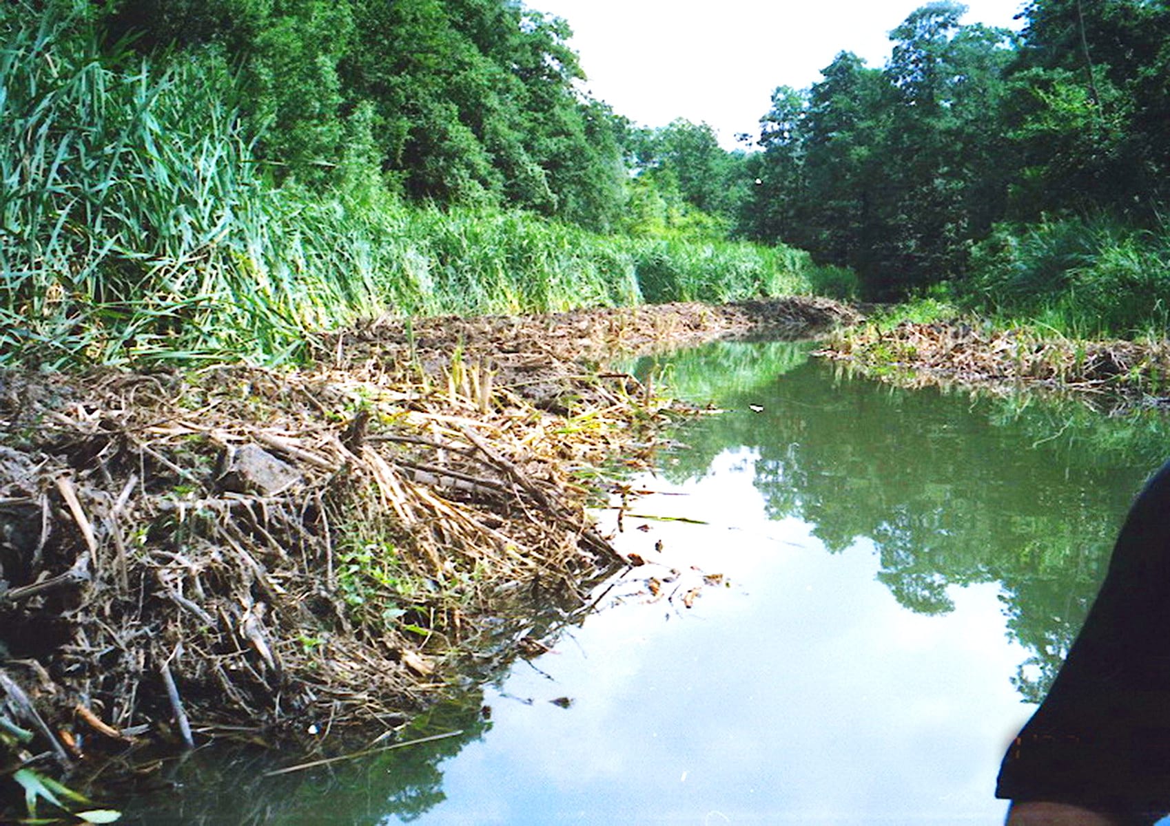 Экологическая очистка воды. Река Чурилиха. Река Чурилиха Исток. Экология воды. Восстановление рек.
