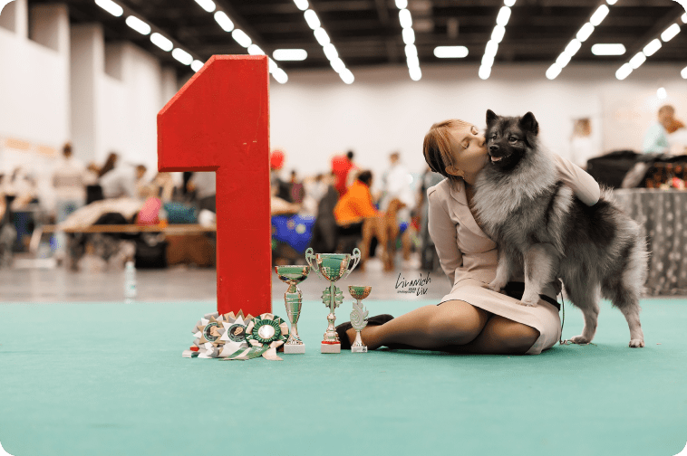 Ветеринарная клиника, ветклиника