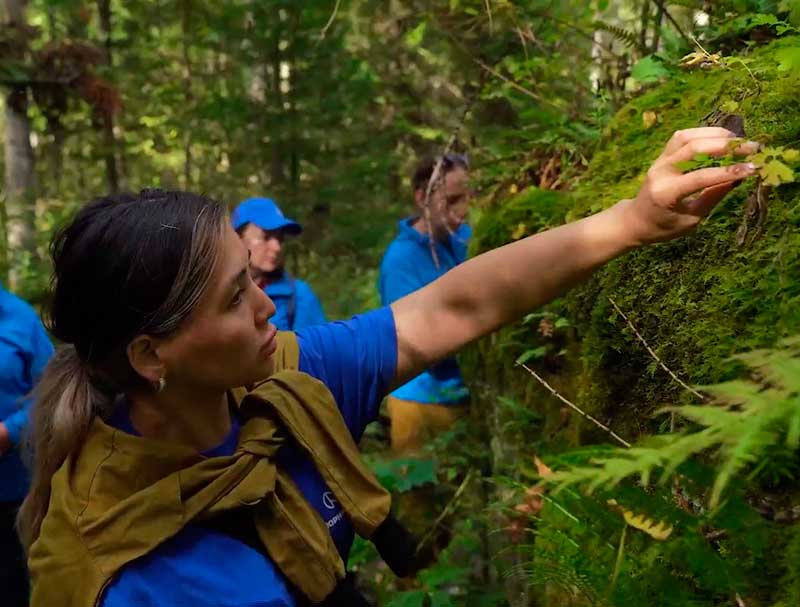 Nornickel's corporate volunteers in the Krasnoyarsk Pillars National Park