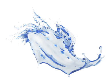 Купить живую хлореллу на кремниевой биосреде в интернет магазине ...