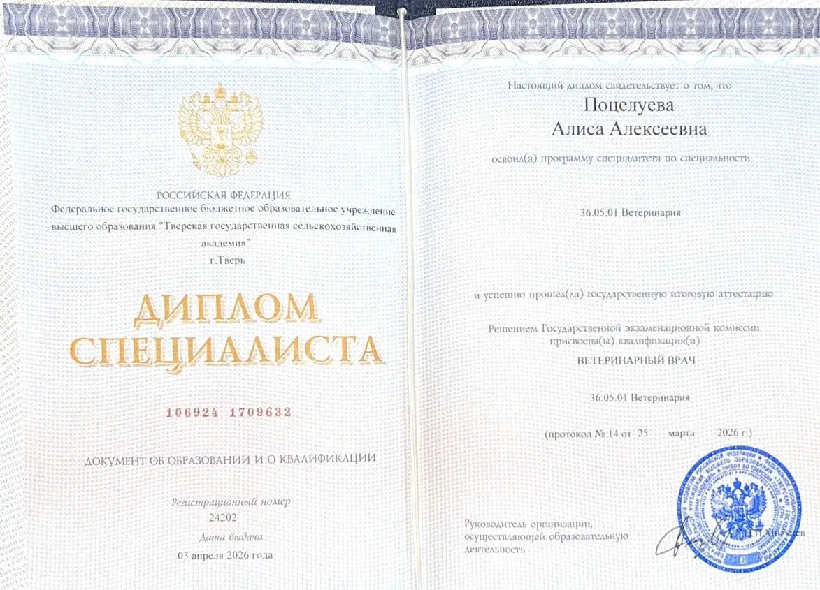 Диплом Поцелуева А.А.