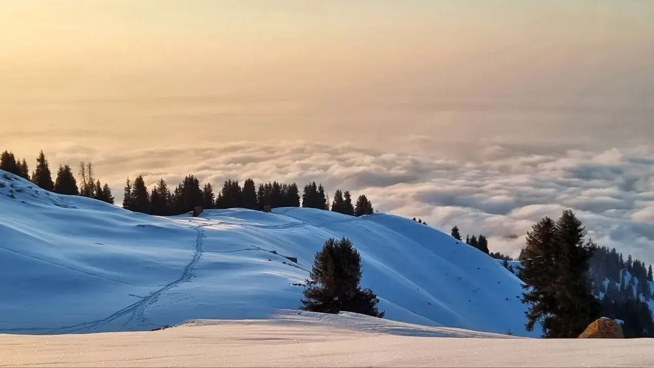 Виды Ким-Асара