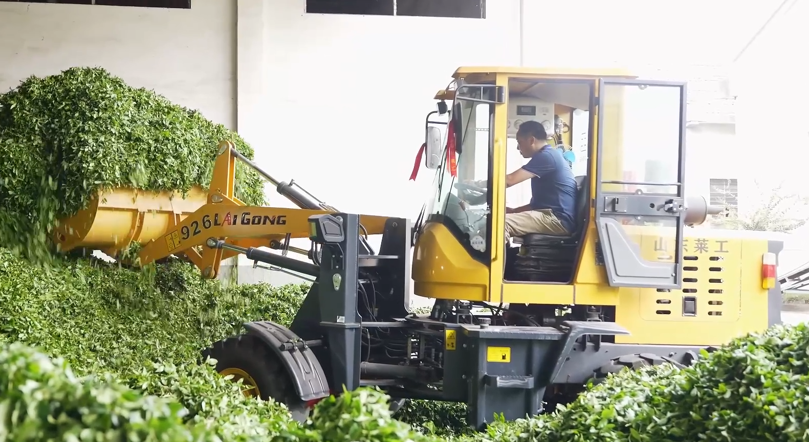 Фасованный китайский чай