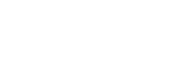 ЦИФРОВОЙ РИТЕЙЛ