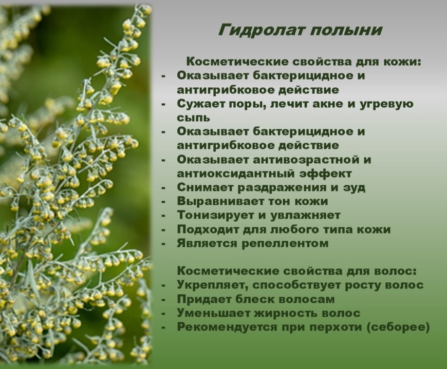 Гидролат полыни