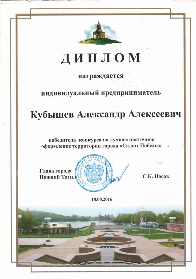 Диплом главы города за победу в конкурсе «Салют Победы»