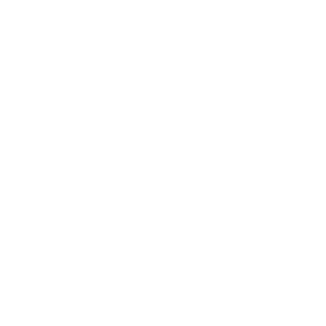 website icon