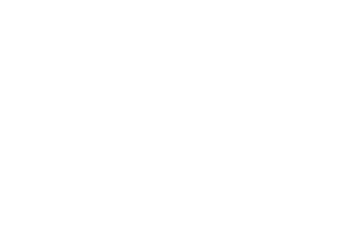 ZION decoration