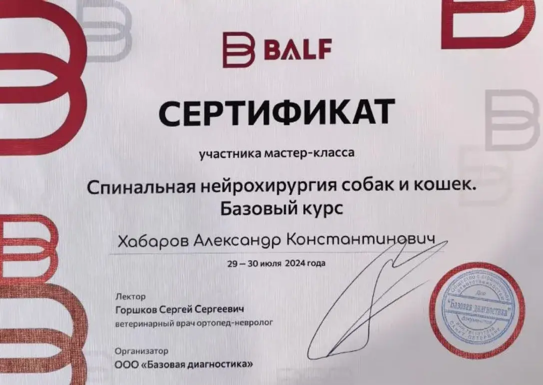 Сертификат 3 Хабарова А.К.