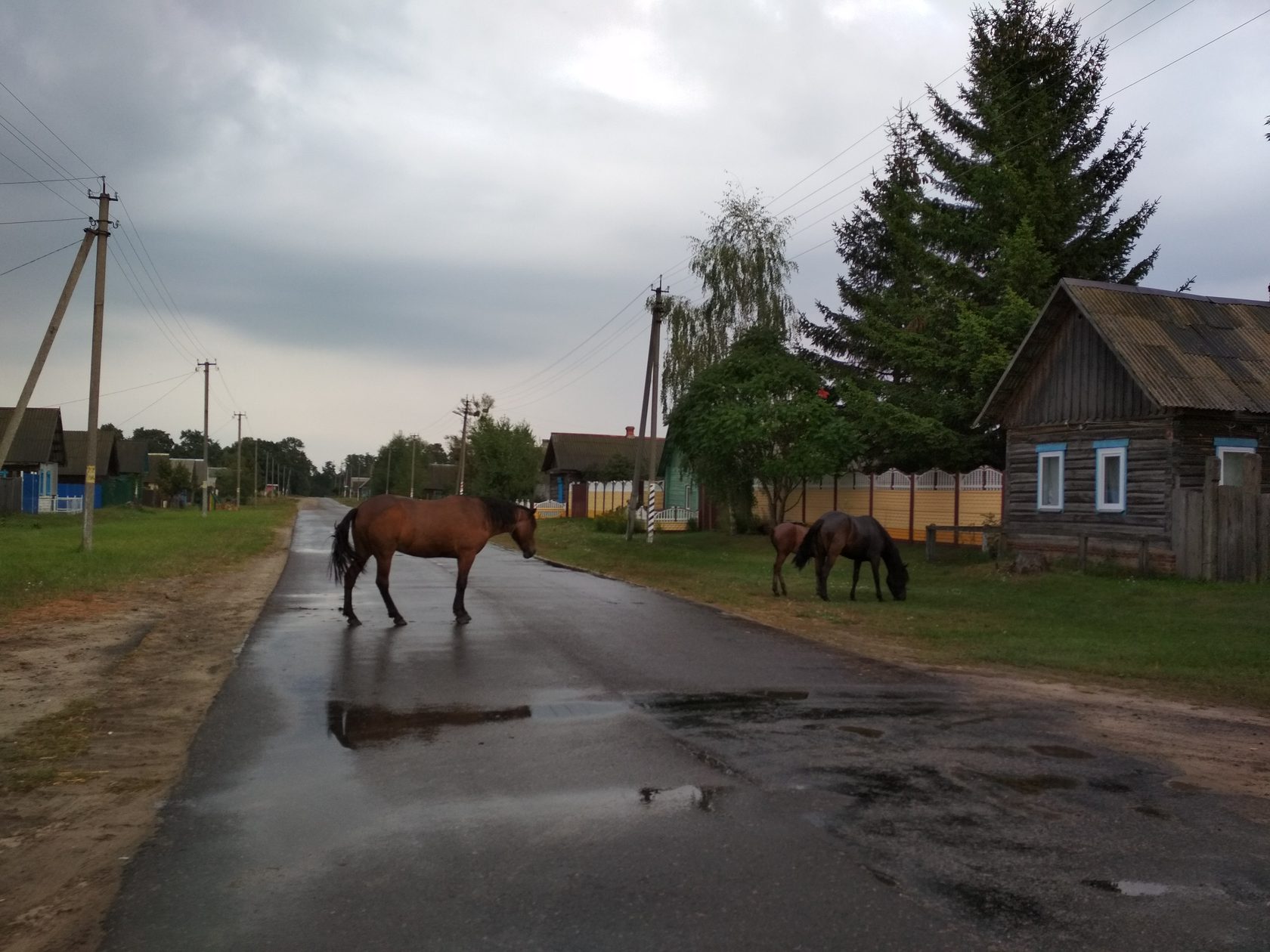 Карта старые дятловичи