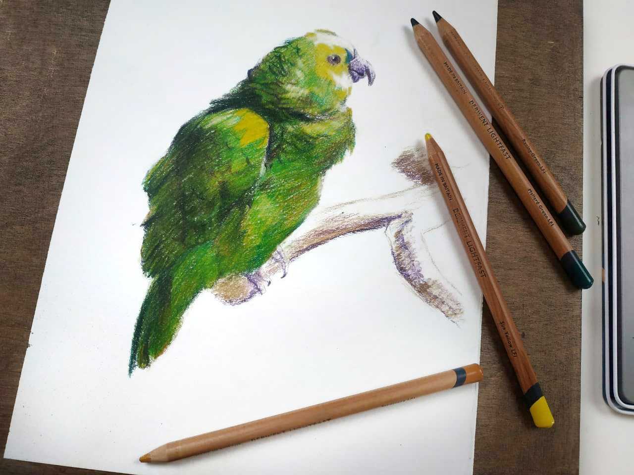 Рисование цветными карандашами для начинающих взрослых