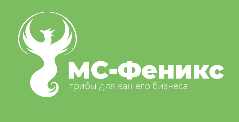 МС-ФЕНИКС