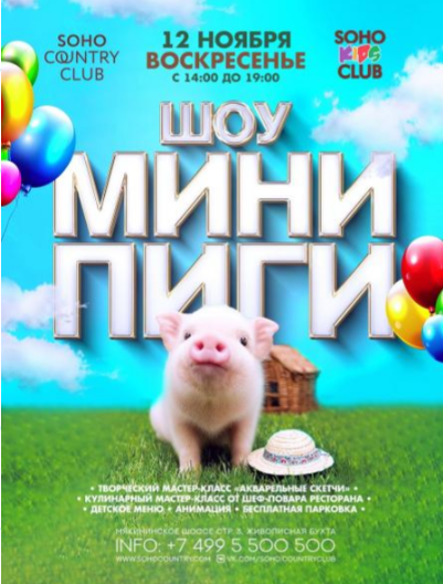 Шоу Мини Пиги