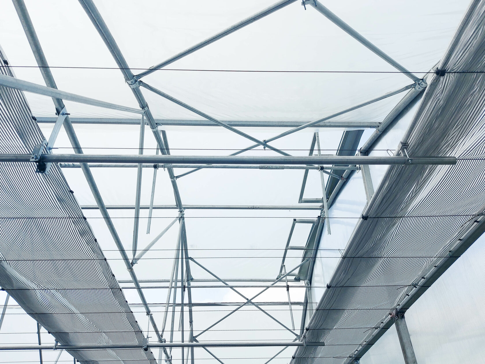 выращивание растений на производстве