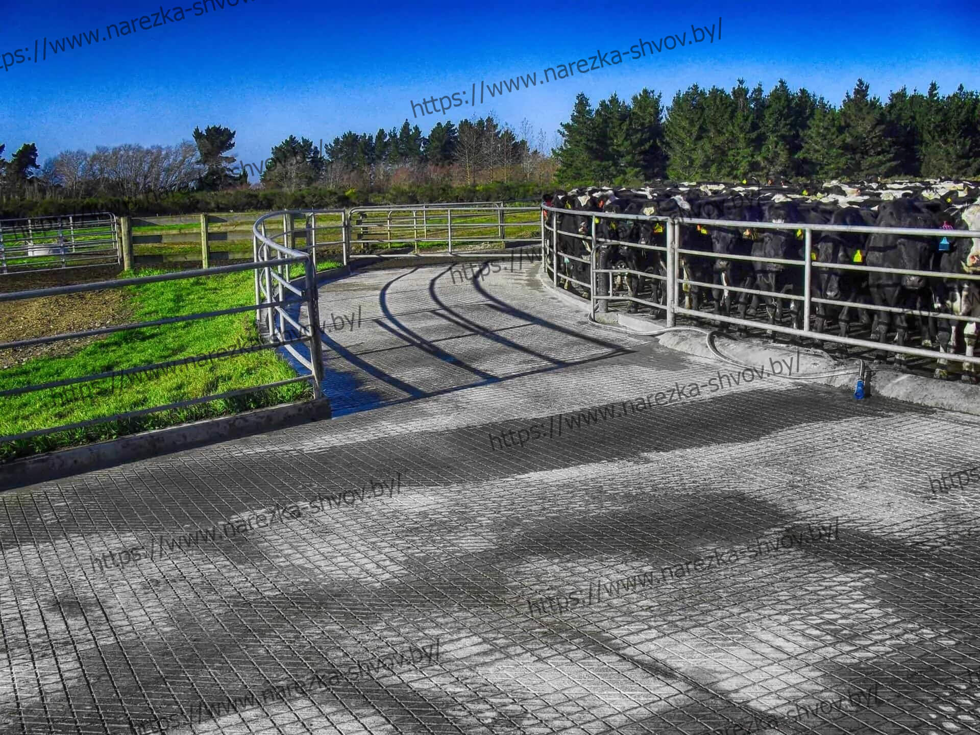 Нарезка швов в коровниках сельхозпредприятий России.