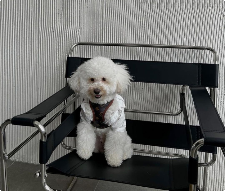 13POINT | Услуги интерьерной фотостудии в Москве