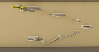 товары для кошек