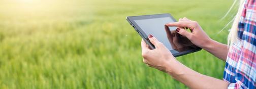 Беспроводной интернет в деревне: как выбрать и подключить