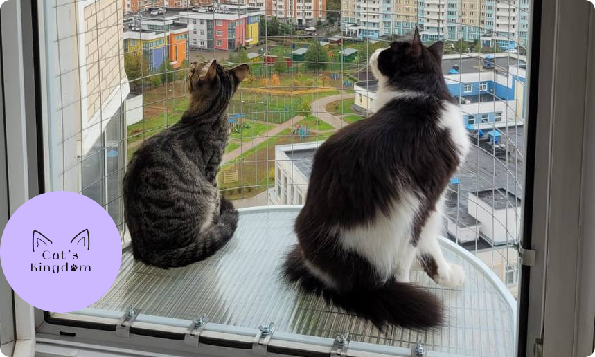 Балкончик для кошки в любой уголок страны с установкой